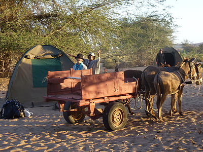 vozík, krajina, Namibie, cestování