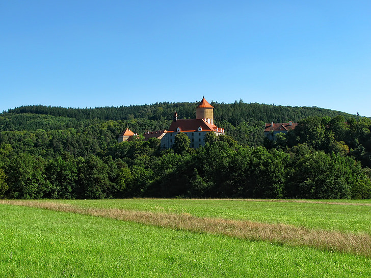 castle, historical, building, woods, blue sky, summer, sunny day