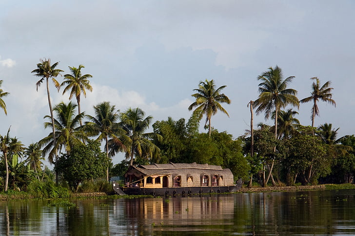 kerala, india, houseboat, backwaters, palm Tree, tropical Climate, nature
