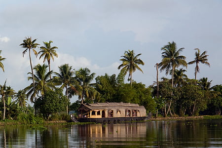 Kerala, Inde, bateau-logement, eau dormante, palmier, climat tropical, nature