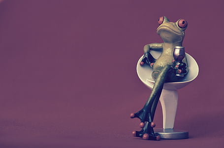 frog, chair, cozy, drink, wine, soaked, cute
