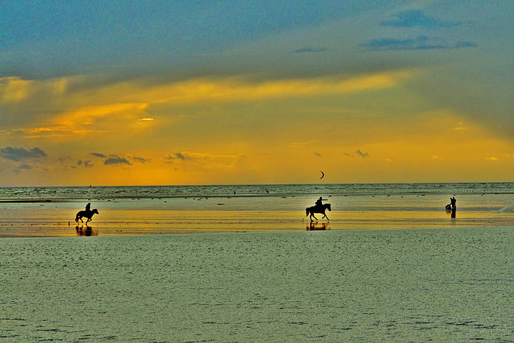 ขี่, ซิ, ม้า, ควบม้า, ทะเลเหนือ, พระอาทิตย์ตก, nordfriesland
