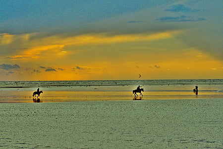 passeig, Reiter, cavalls, galop, Mar del nord, posta de sol, Nordfriesland