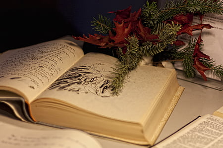 Comentarii Cartea Comentarii, Cartea, carte de oaspeti, scrierii de mână, Biserica, carti, Crăciun