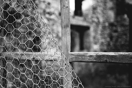 栅栏, 关闭, 窗口, 废墟, 黑色和白色