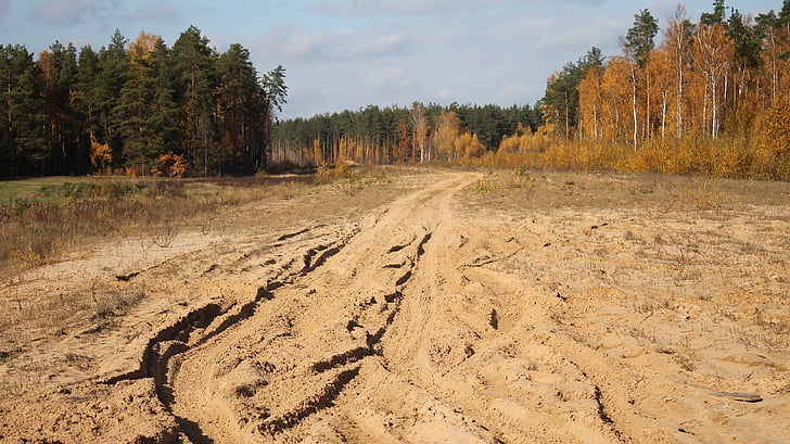 dirt road, the road in the woods, the roads, bypass road, autumn forest, nature, dirt