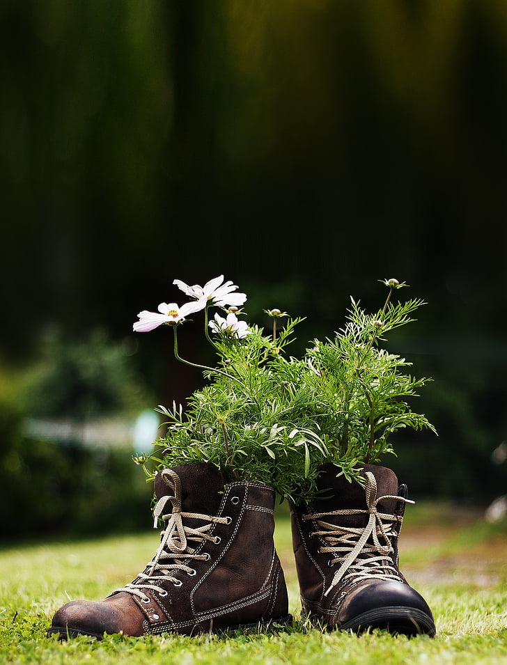 flowers, shoes, meadow, garden, deco, shoe, boot