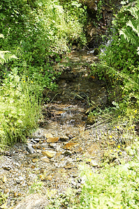 Creek, alam, Bach, air, pemandangan, Idyll, aliran