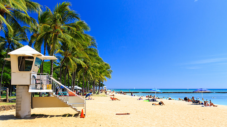 Honolulu, Havaí, praia, palmas das mãos, salva-vidas, céu azul, areia