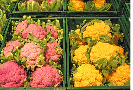 cauliflower, new, new breeding, breeding, vegetables, healthy, market