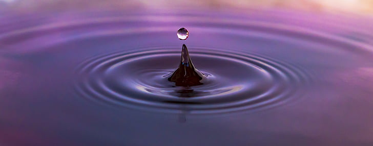 drop of water, droplets, drip, water, droplet photography, premium, wet