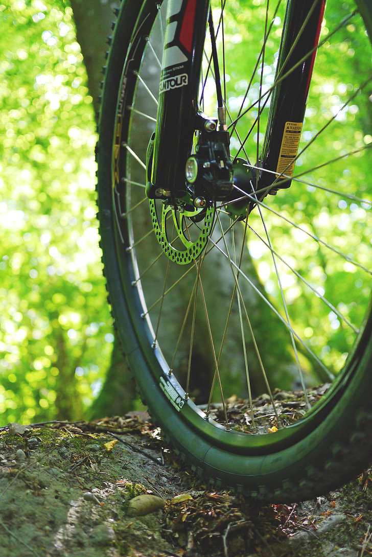 brdski bicikl, bicikl, biciklizam, kolo, aktivnost, sportski, priroda