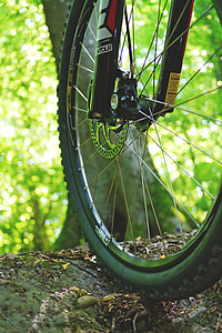 mountain bike, bike, cycling, wheel, activity, sport, nature