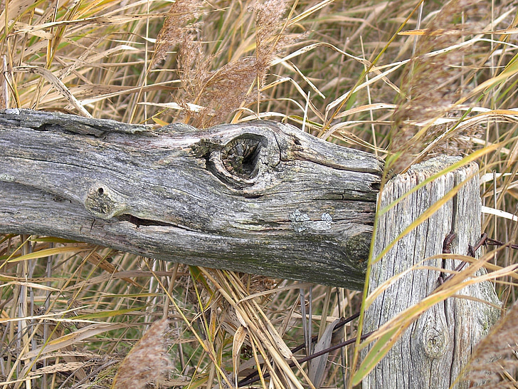 dřevo umění, plot, Sylt