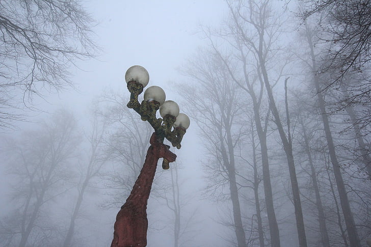 luces de la calle, ciervo, niebla, bosque, montaña, invierno, Suiza