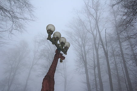 đèn đường, hươu, sương mù, rừng, núi, mùa đông, Thụy sĩ