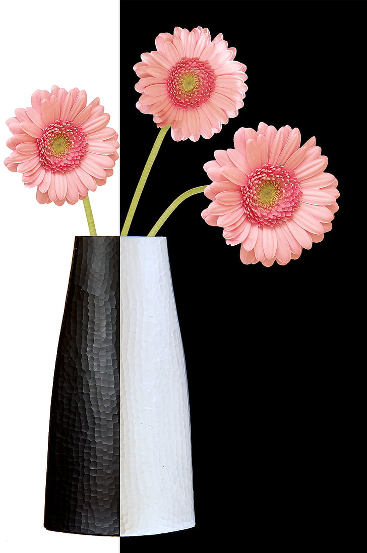 vas, bunga, dekorasi, bunga, warna, bunga, bunga kepala