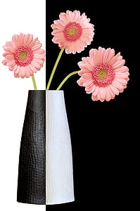 vase, fleurs, décoration, fleur rose, couleurs, fleur, capitule