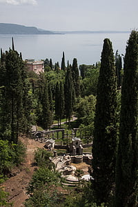 Cypress, pembangunan proyek parzival air mancur, Mediterania cypress, Cupressus sempervirens, kolumnar cypress, cemara nyata, Cypress Italia