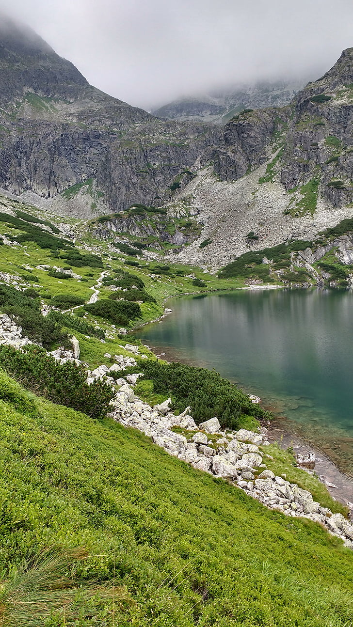 siyah su birikintisi, Tatry, Hiking trail, Polonya, doğa