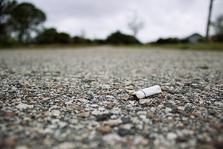 cigareta, se zakázaným inzerováním, pes konec, odpadky, Koš, odpad, zem