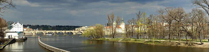 Prague, Praha, printemps, vert, vieux, ville, bâtiment