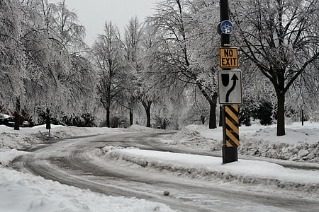 neu, gel, tempesta, carrer, congelat, arbres