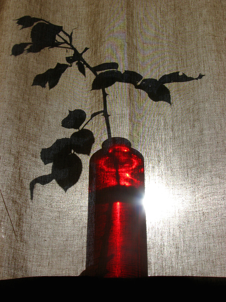 curtain, vase, red, light, shadow, veiled, shroud
