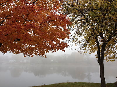 řeka, na podzim, stromy, krajina, Příroda, voda, Scene