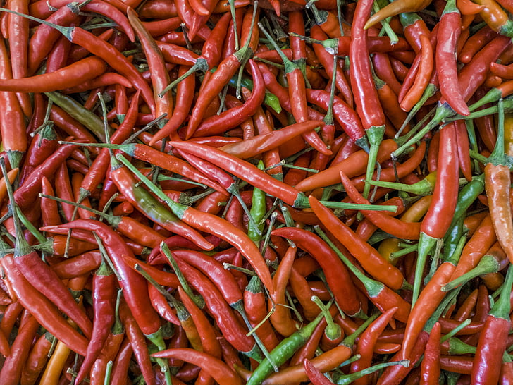 chili, peppar, röd, mat, vegetabiliska, fräschör, krydda