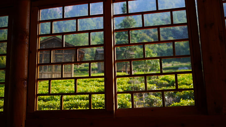 rumah teh, jendela, hijau