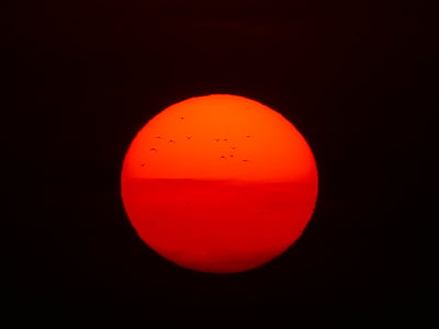 slnko, ohnivá guľa, vtáky, červená, západ slnka, Príroda, slnečného disku