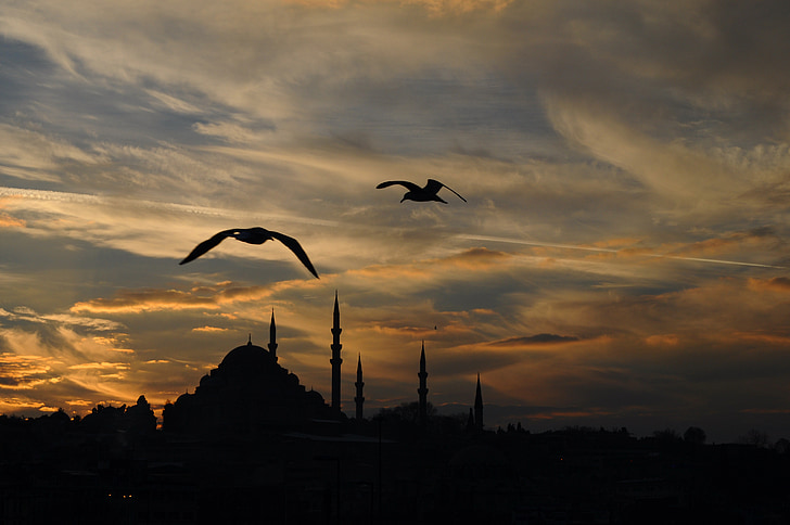 Turquía, Estambul, animal, puesta de sol, nubes, paisaje, Marina
