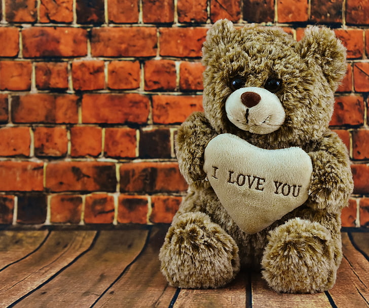 Teddy, día de San Valentín, amor, para siempre, lindo, oso de, felpa