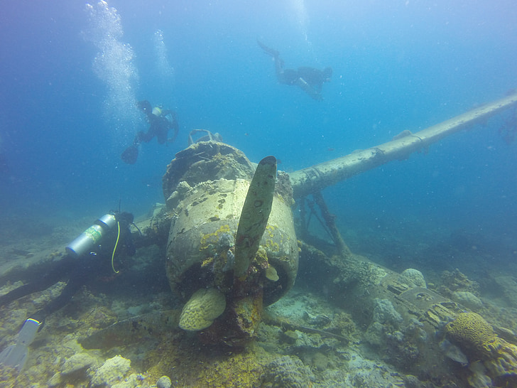 hidroplán, Palau, hajótörés, repülőgép roncsa, roncs, búvárkodás, búvár