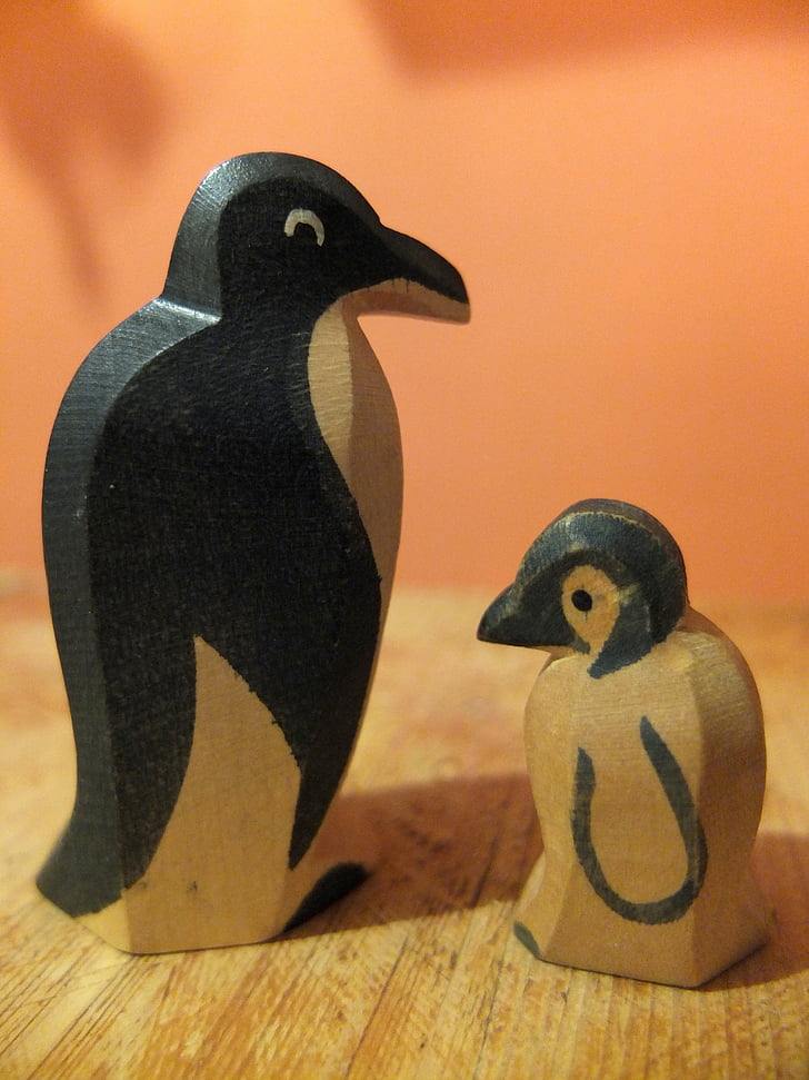 pingvinas, tėvų, motina, tėvas, vaikas, uždaryti, atstumas