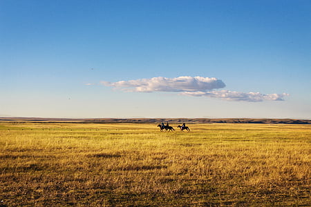 jazda konna, Prairie, Zdecydowana, krajobraz, Natura, zwierząt, na zewnątrz