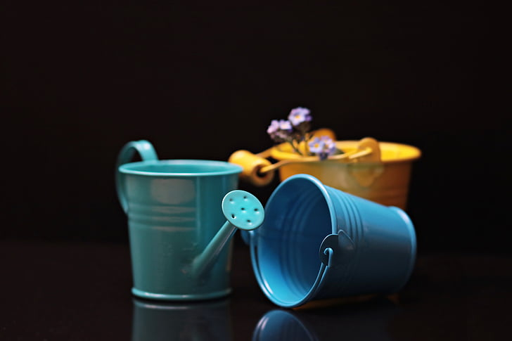 bucket, forget me not, flower, yellow, blue, blue bucket, watering can