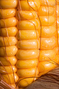 玉米, 玉米粒, 玉米棒, 玉米, 谷物, 食品, 秋天