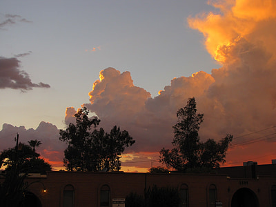 хмари, небо, Захід сонця, помаранчевий, дерева, силует