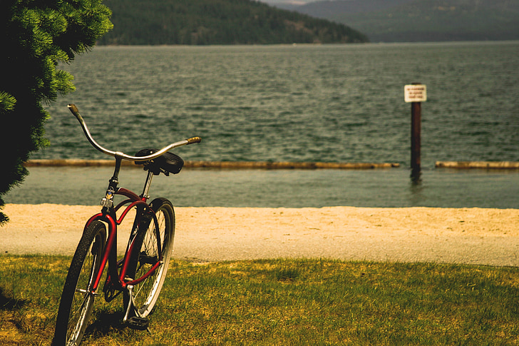 bicicleta, bicicleta, Lago, agua, hierba, naturaleza, al aire libre