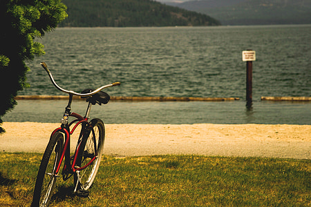 bicicleta, bicicletes, Llac, l'aigua, herba, natura, a l'exterior