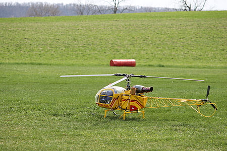 helicòpter, RC, helicòpter de model, model de, control, remot, oci