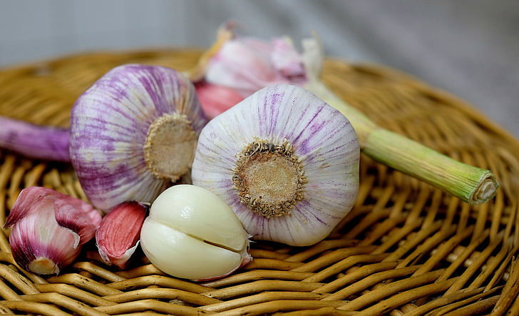 garlic, substantial, smell, frisch, food, organic, vegetable