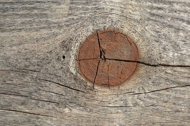 crack, nút, gỗ, nứt
