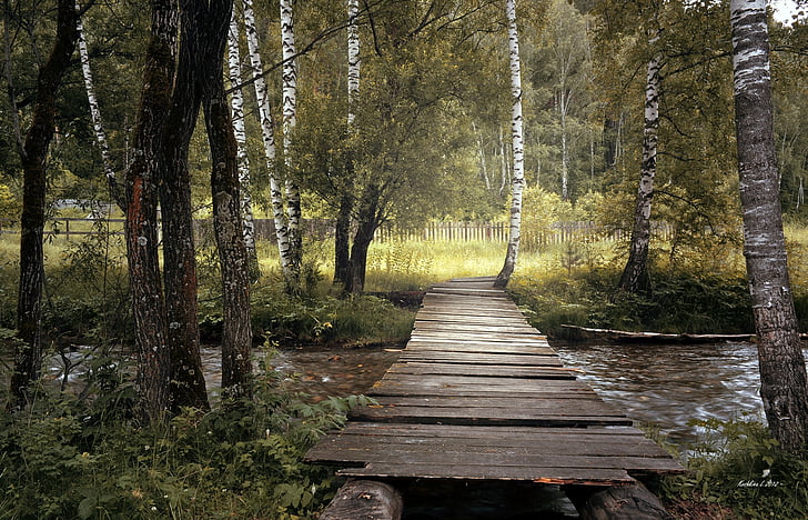 Bridge, puidust, vana, loodus, metsa, puud, jõgi