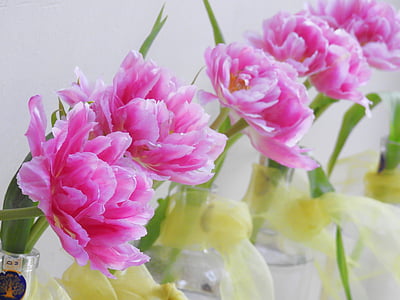 bunga, merah muda, Tulip, naik, Peony, musim semi, Deco