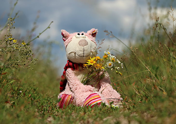 rotaļlieta, kaķis, pušķis, lauks, daba, ziedi, rozā