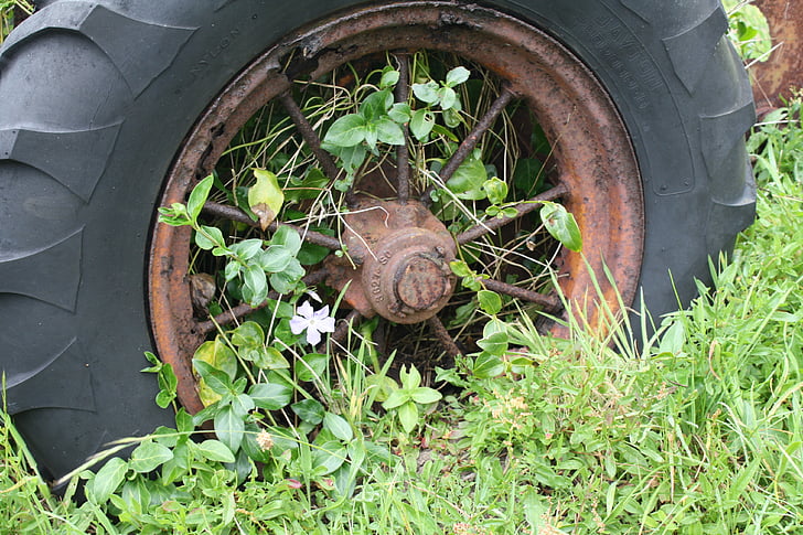 wheel, weeds, overgrown, old, farming, time