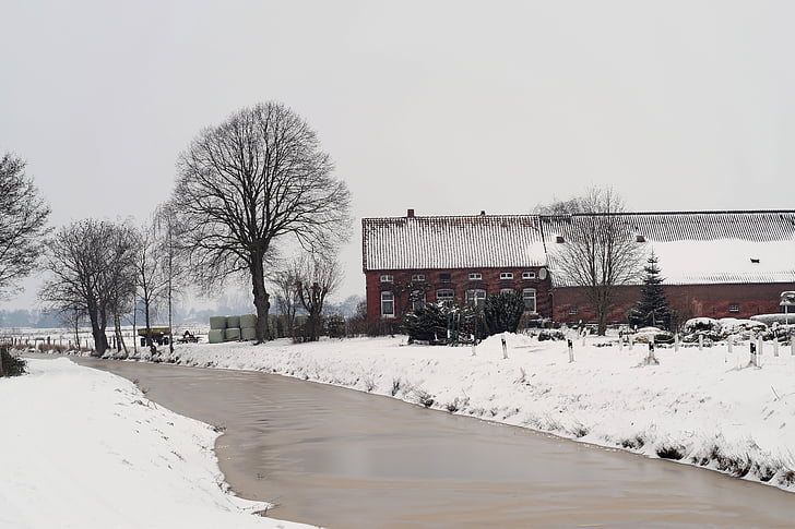 landschap, Wieke, sneeuw, koude, Iced, Oost-Friesland, Frosty